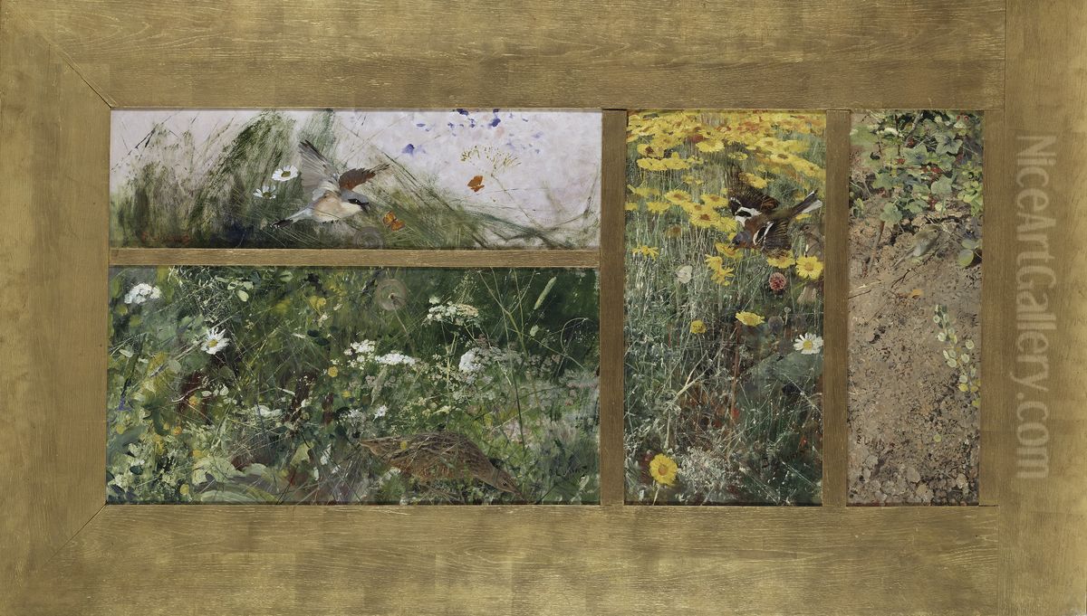 Four Bird Studies, Red-Backed Shrike, Corncrake, Chaffinches, Willow Warbler. Oil Painting by Bruno Andreas Liljefors