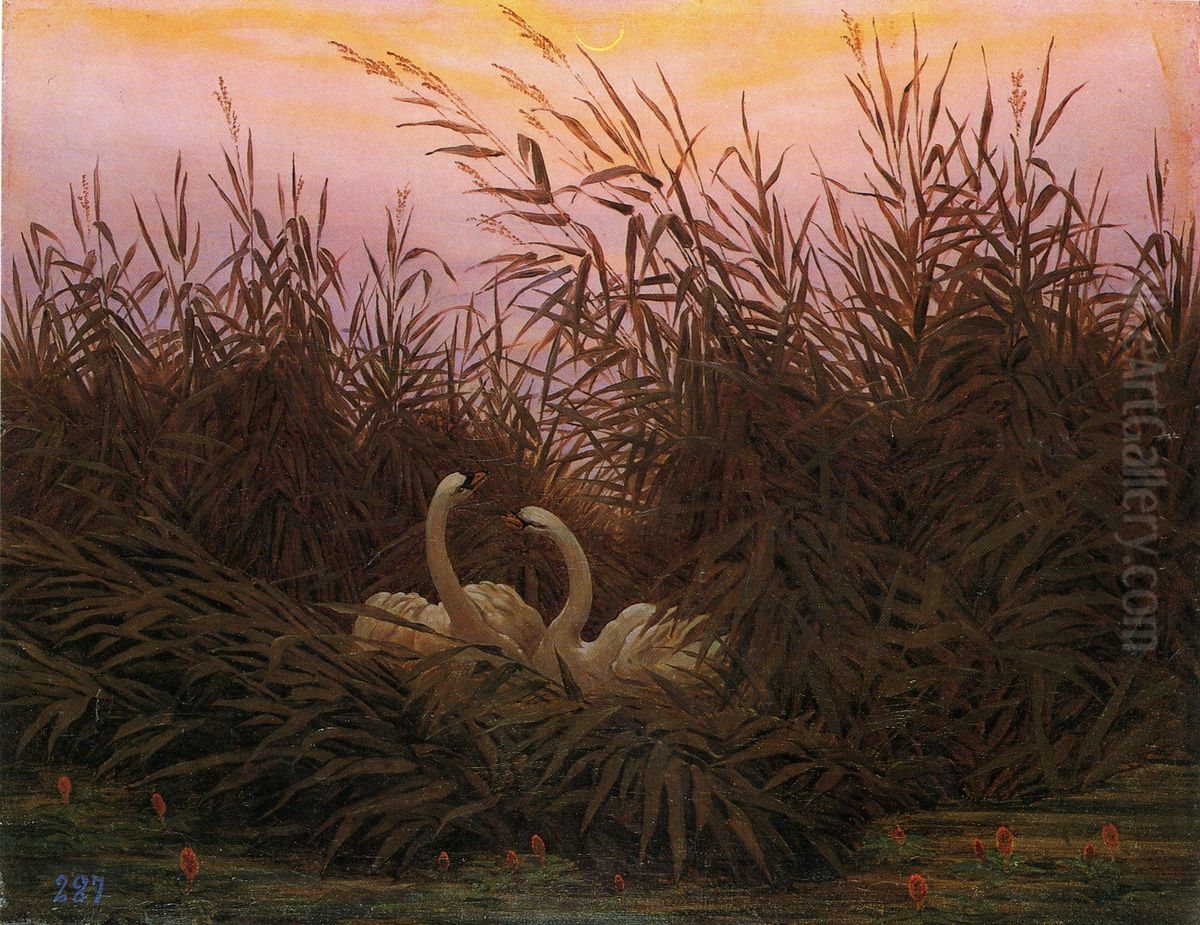 Swans in the reeds at the first dawn Oil Painting by Caspar David Friedrich