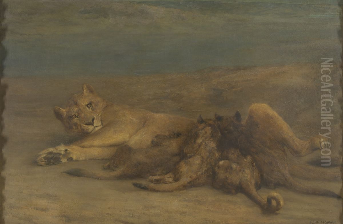 Een leeuwin met vier zogende welpen, genaamd 'Moederliefde' Oil Painting by John Macallan Swan
