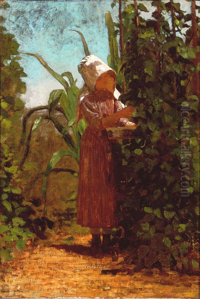 The Bean Picker Oil Painting by Winslow Homer