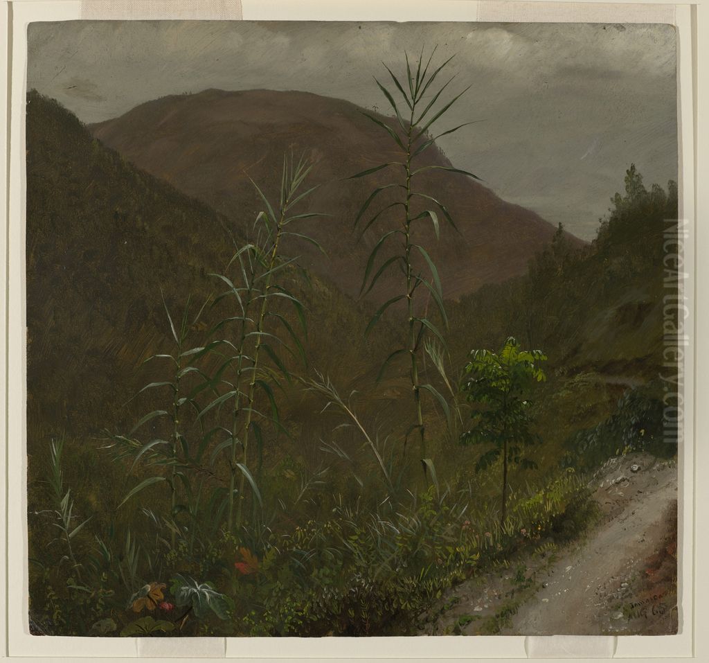 Wild Sugar Cane, Jamaica Oil Painting by Frederic Edwin Church
