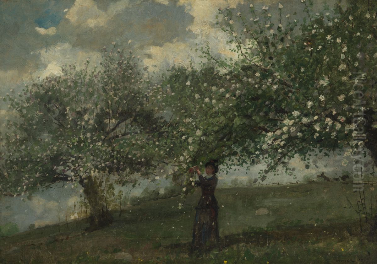 Girl Picking Apple Blossoms Oil Painting by Winslow Homer