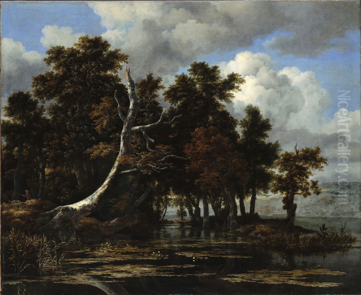 Eiken bij een meertje met waterlelie Oil Painting by Jacob Van Ruisdael