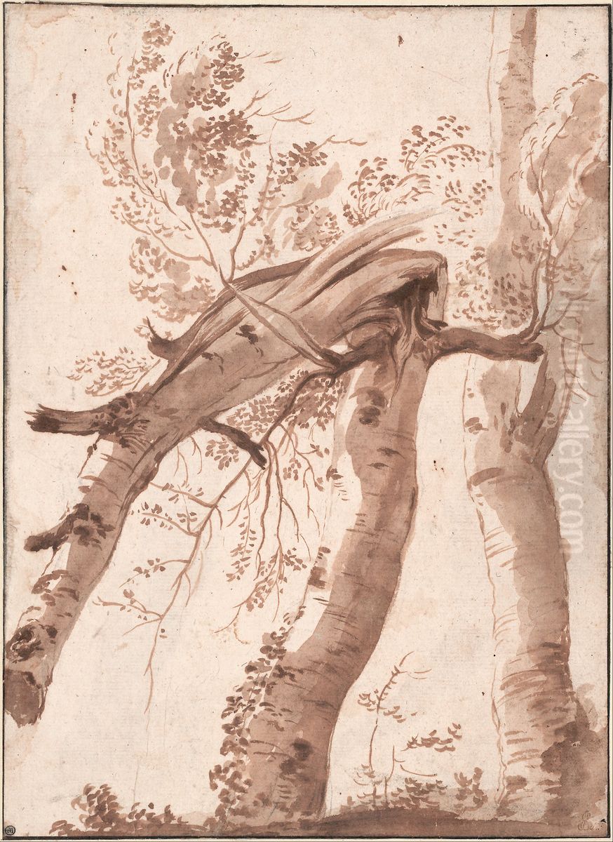 Two Silver Birches, the Front One Fallen Oil Painting by Nicolas Poussin