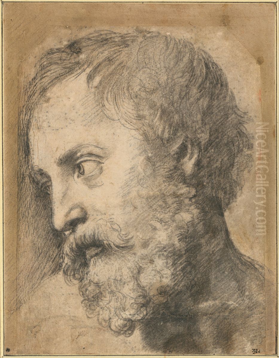 Head of An Apostle in the Transfiguration Oil Painting by Raphael