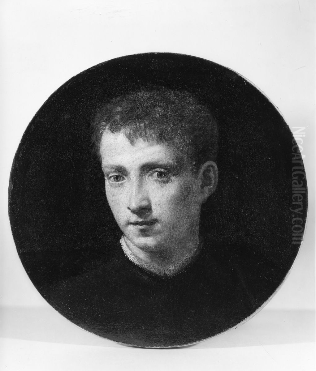 Portrait of a Young Man Oil Painting by Francesco Salviati