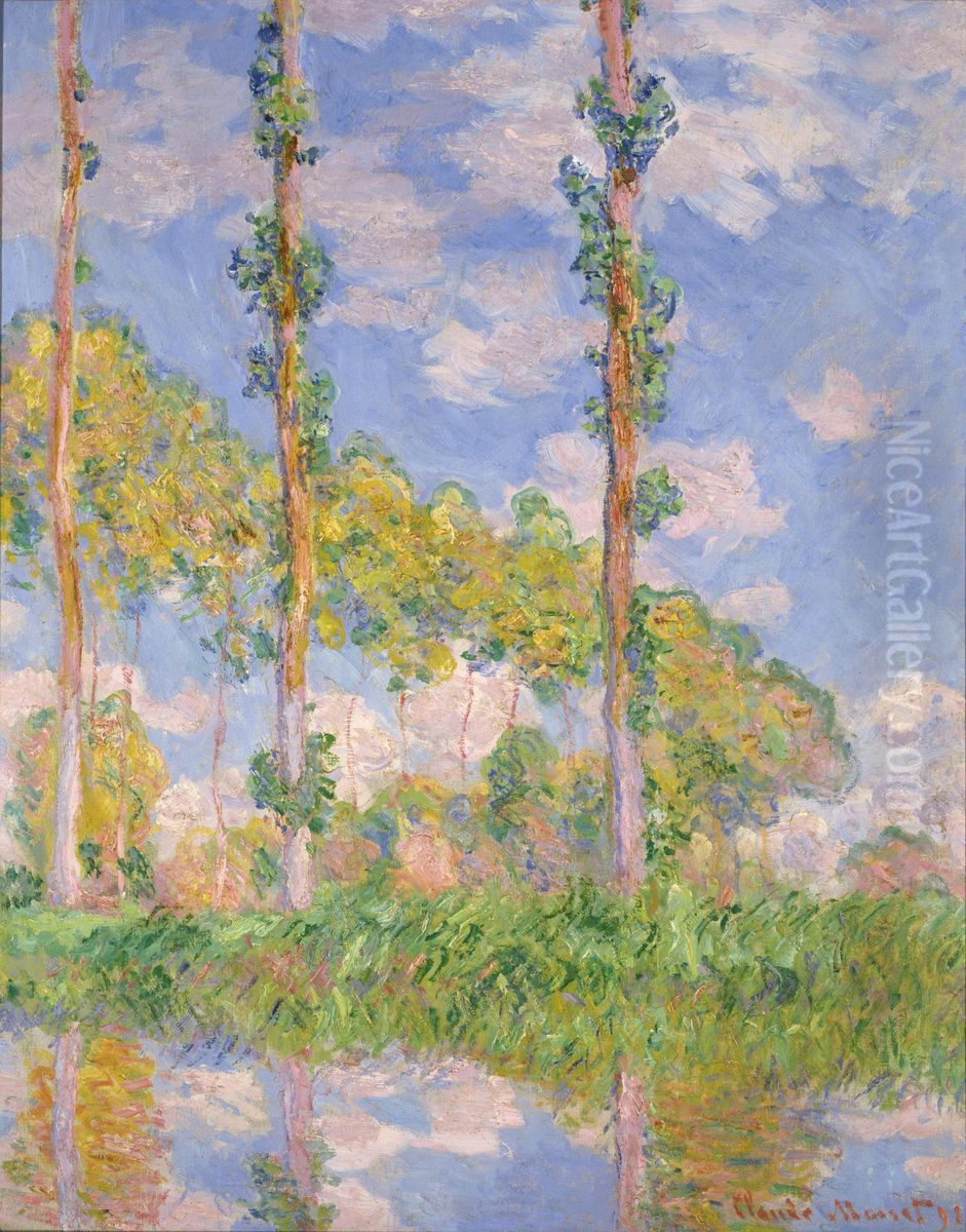 Alamos al sol Oil Painting by Claude Oscar Monet