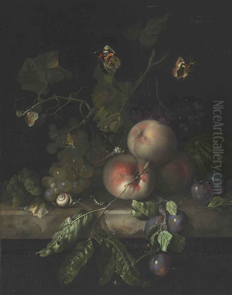 Still life of fruit, with insects, on a marble ledge Oil Painting by Rachel Ruysch