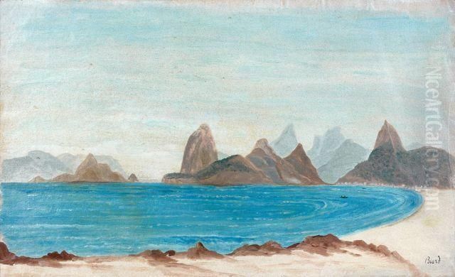 Baia do Rio de Janeiro Oil Painting by Francois-Auguste Biard