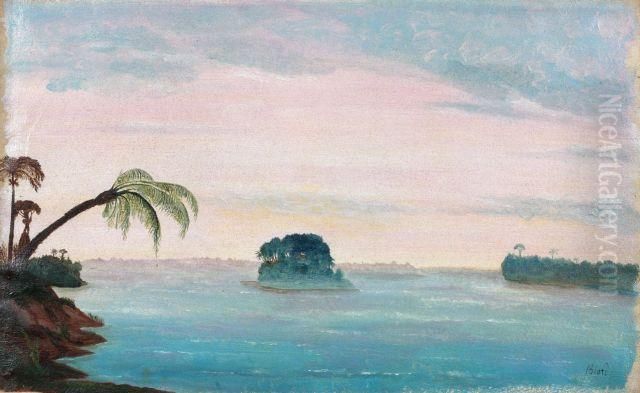 Ver Do Brasil : A cama grande da Amazonia Oil Painting by Francois-Auguste Biard
