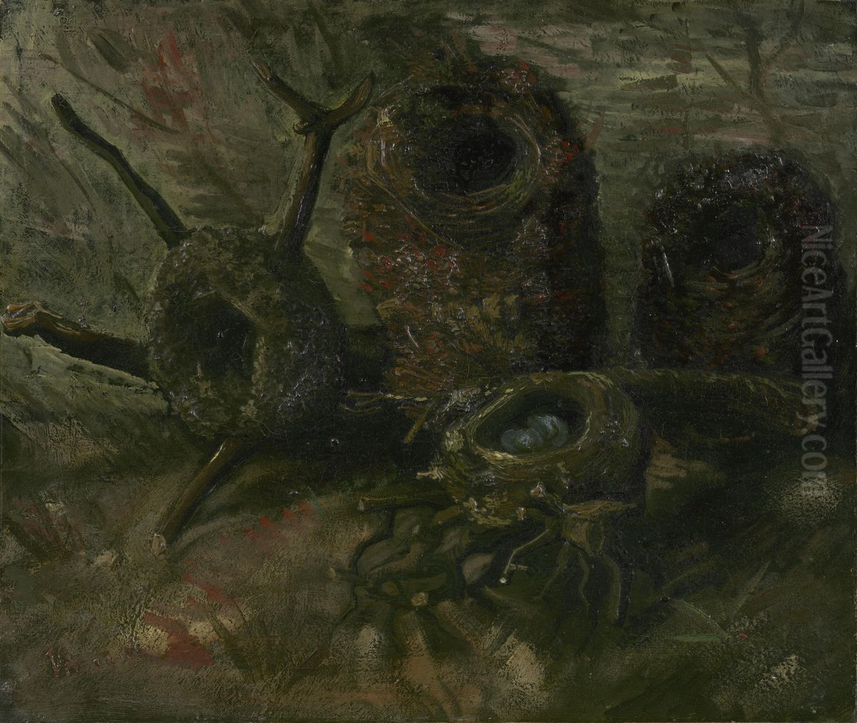 Vogelnesten Oil Painting by Vincent Van Gogh
