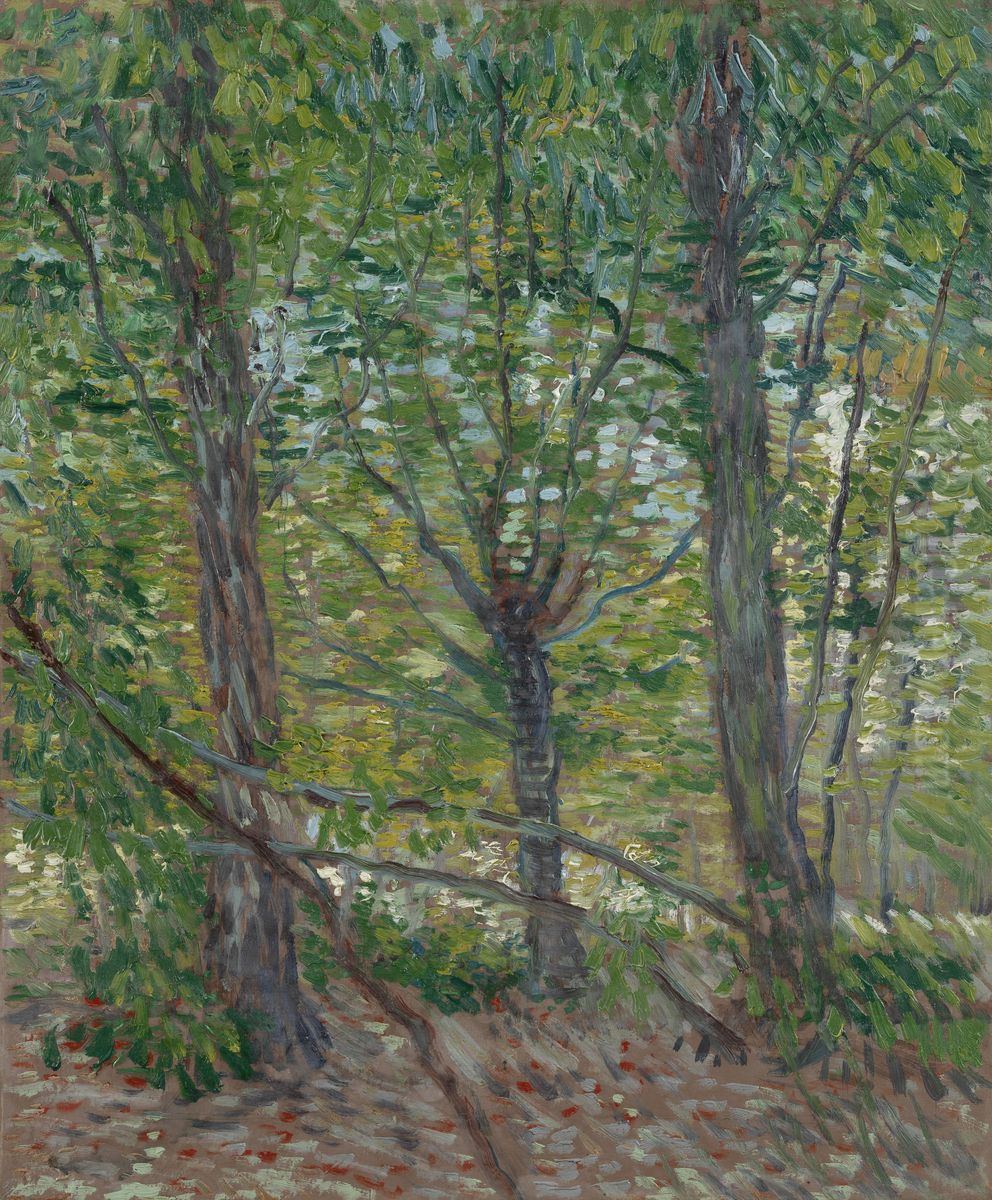 Trees Oil Painting by Vincent Van Gogh