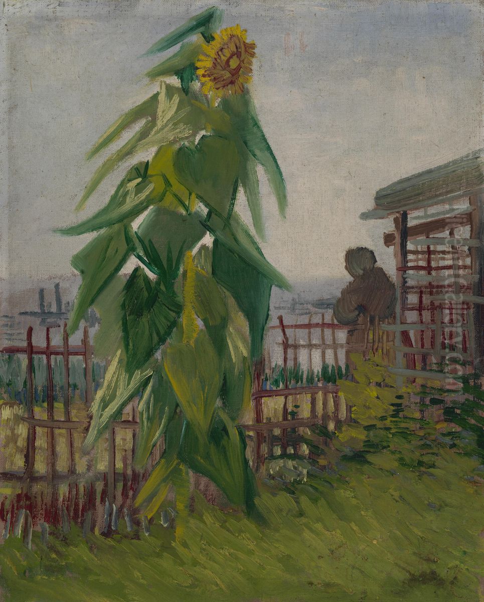 Allotment with Sunflower Oil Painting by Vincent Van Gogh