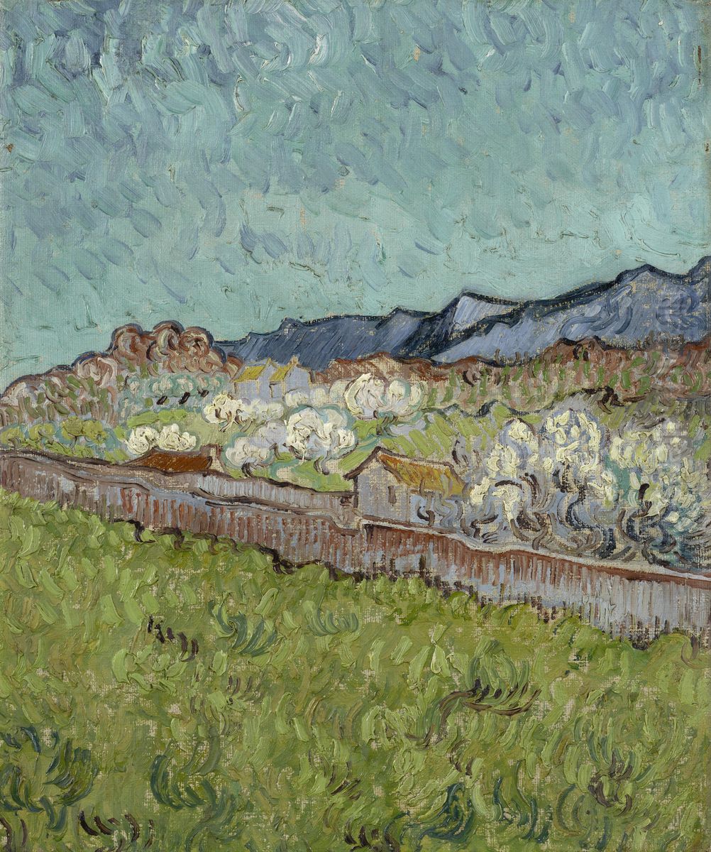 View of the Alpilles Oil Painting by Vincent Van Gogh