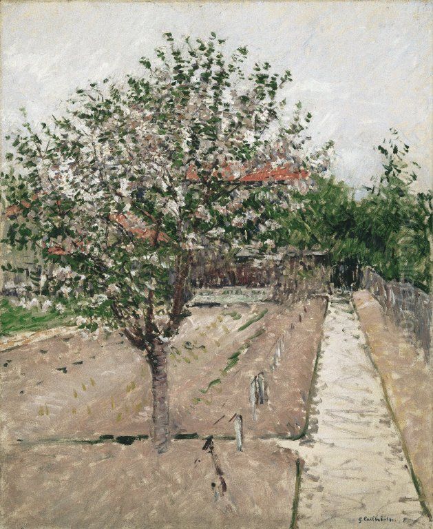 Apple Tree in Bloom Oil Painting by Gustave Caillebotte