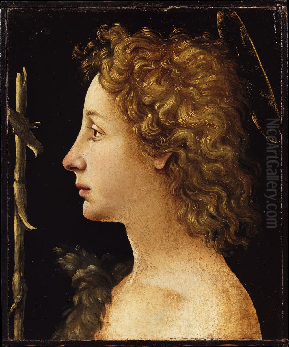 The Young Saint John the Baptist Oil Painting by Piero Di Cosimo