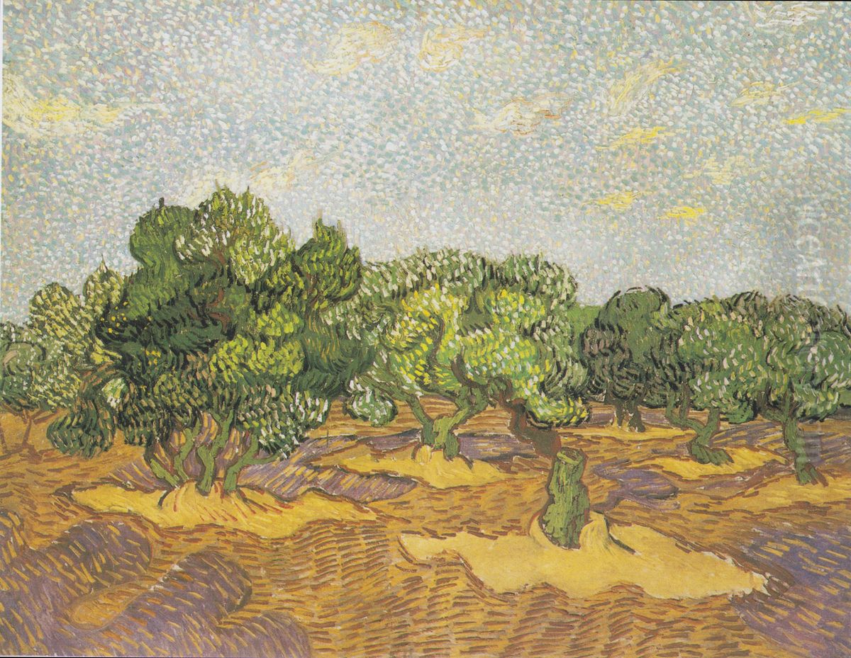 Olivenhain Oil Painting by Vincent Van Gogh