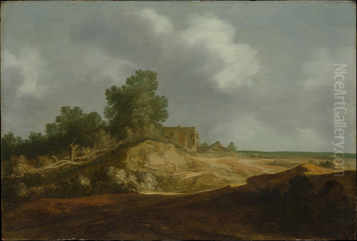 Landscape with a Cottage Oil Painting by Pieter De Molijn