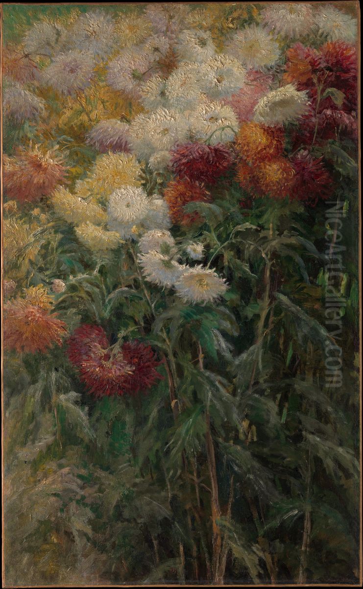 Chrysanthemums in the Garden at Petit-Gennevilliers Oil Painting by Gustave Caillebotte