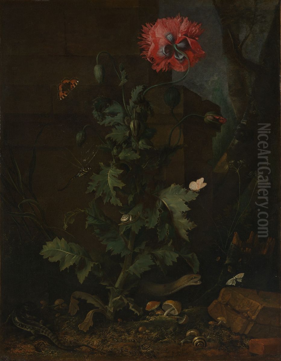 Still Life with Poppy, Insects, and Reptiles Oil Painting by Otto Marseus van Schrieck
