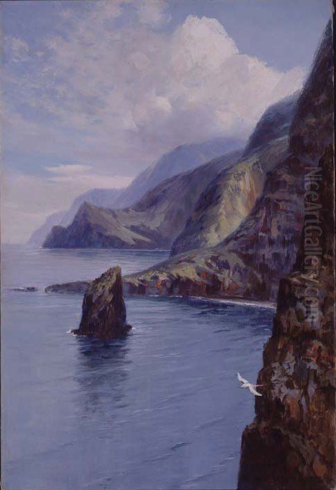 Molokai Bluffs, Hawaii Oil Painting by D. Howard Hitchcock