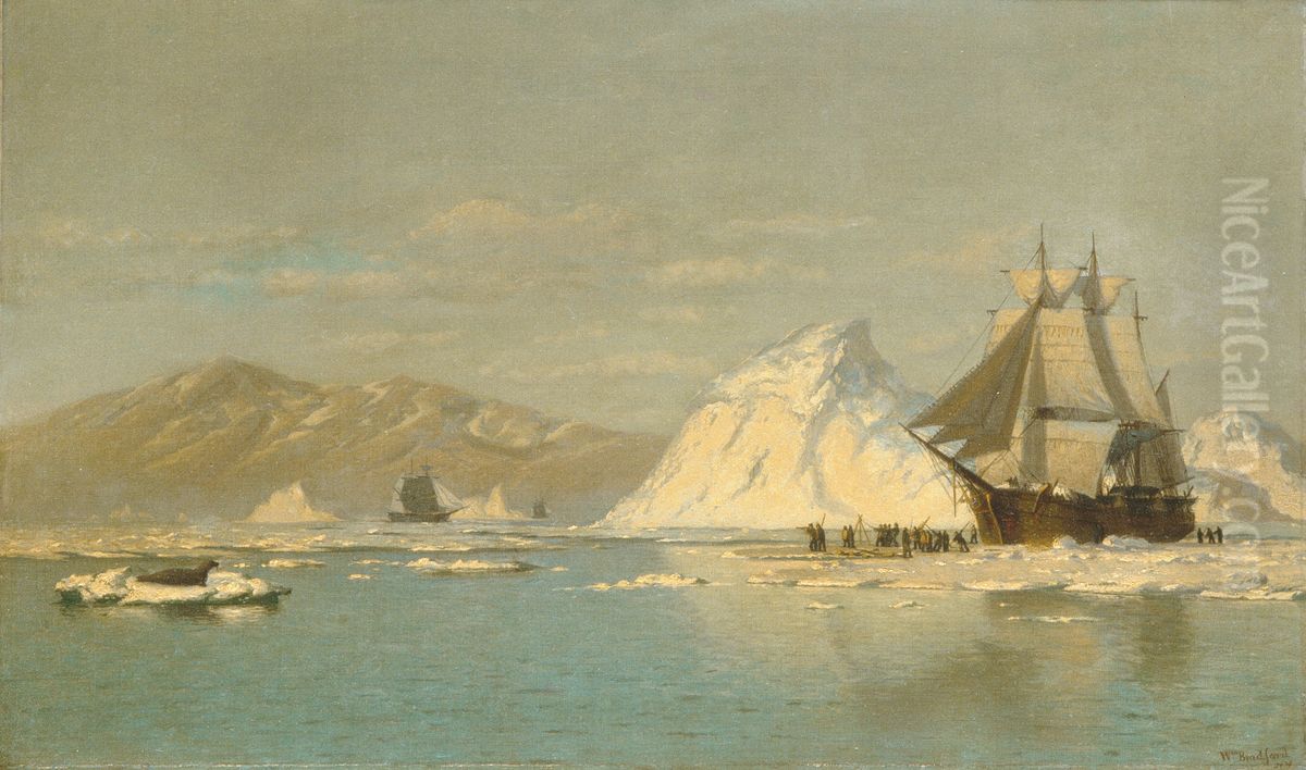 Off Greenland-Whaler Seeking Open Water Oil Painting by William Bradford