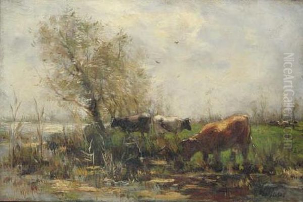 Cattle at a Watering Place Oil Painting by Willem Maris