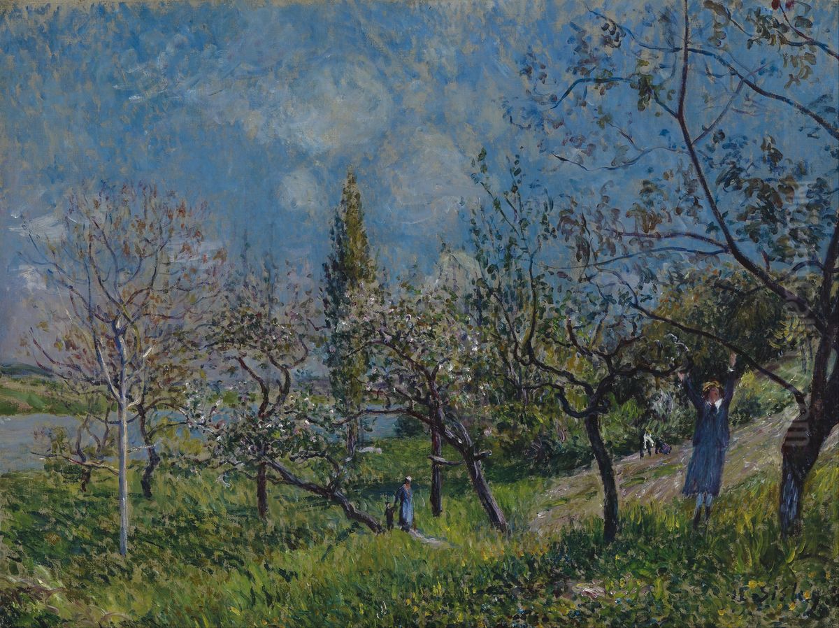 Un verger au printemps, By Oil Painting by Alfred Sisley