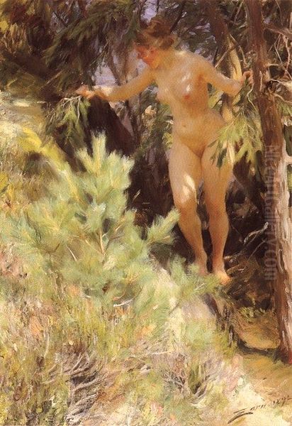 Naked under a spruce Oil Painting by Anders Zorn