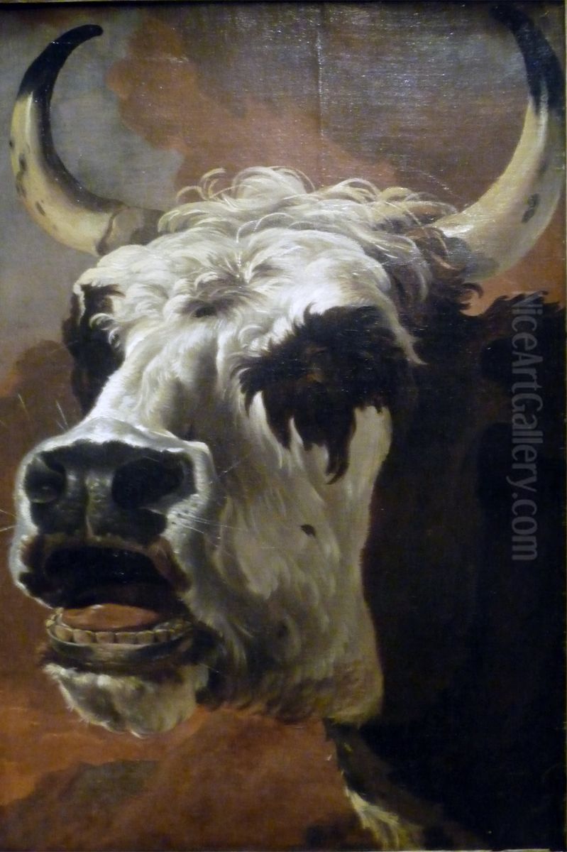 Tete de boeuf(Groningue) Oil Painting by Jan Asselijn