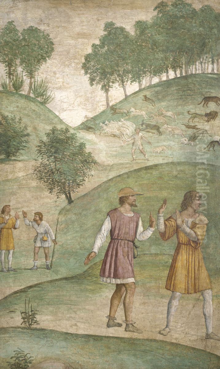 The Misfortunes of Cephalus Oil Painting by Bernardino Luini