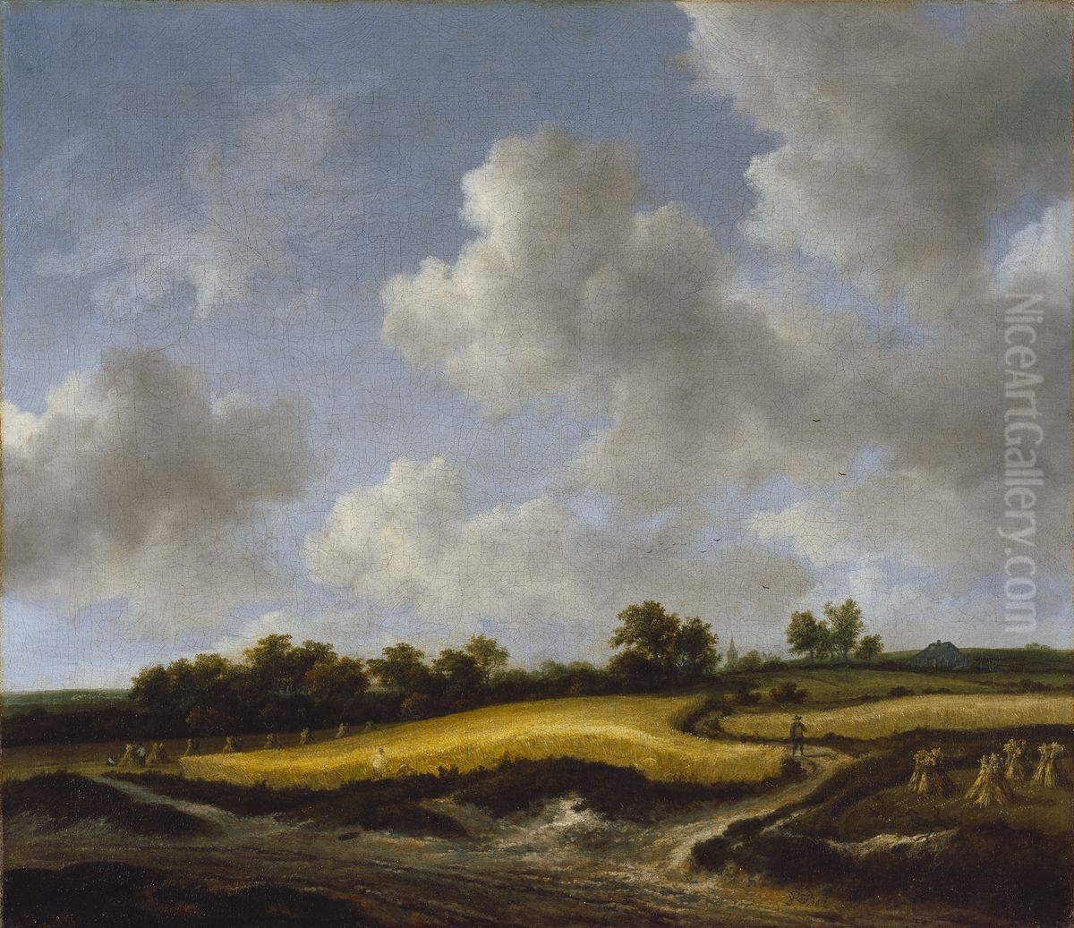 Landscape with a Wheatfield Oil Painting by Jacob Van Ruisdael
