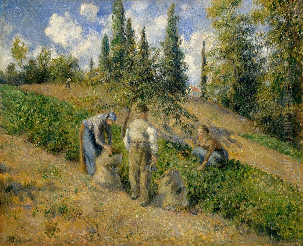 The Harvest, Pontoise (La Recolte, Pontoise) Oil Painting by Camille Pissarro