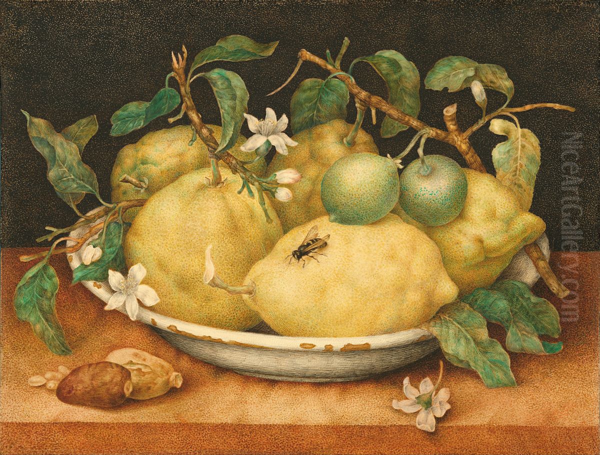 Still Life with Bowl of Citrons Oil Painting by Giovanna Garzoni