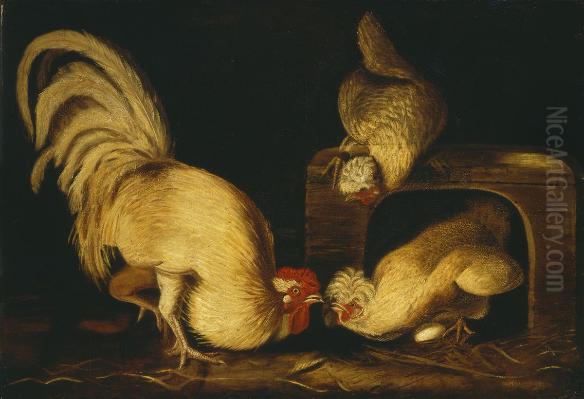 Farmyard Fowls Oil Painting by John James Audubon