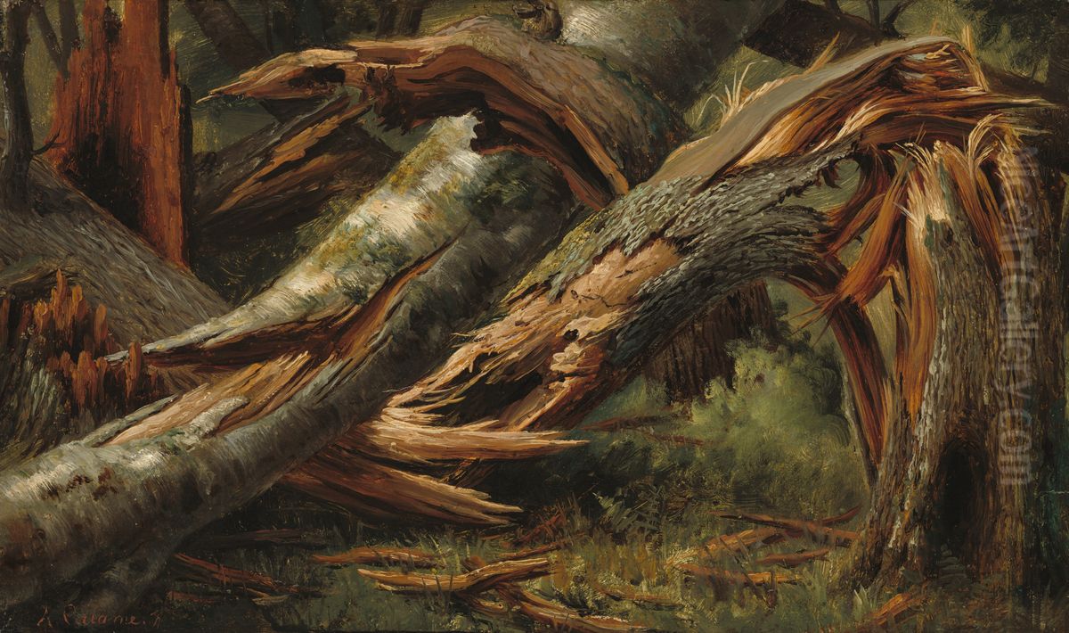 Fallen Tree Oil Painting by Alexandre Calame