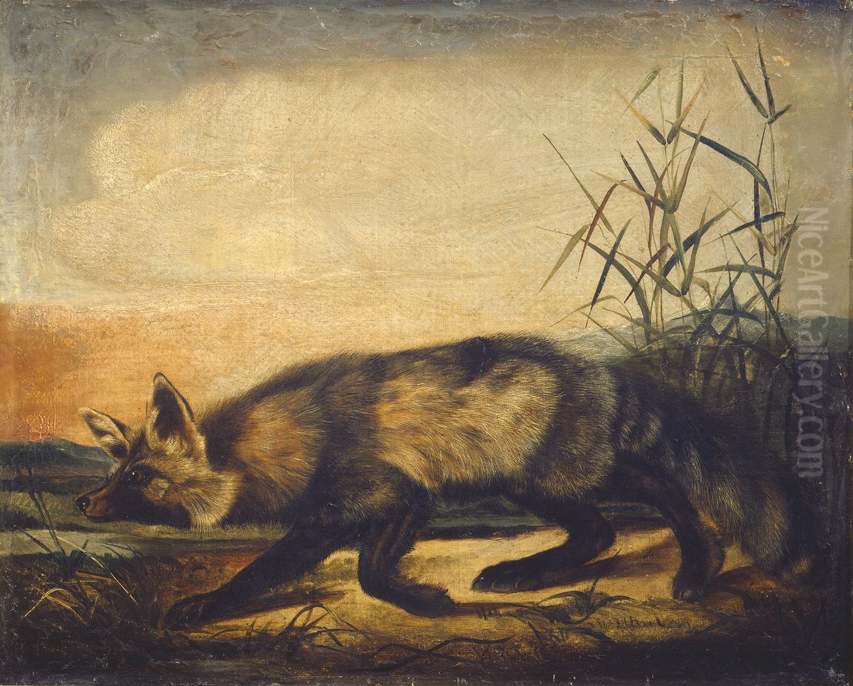 Long-Tailed Red Fox Oil Painting by John Woodhouse Audubon