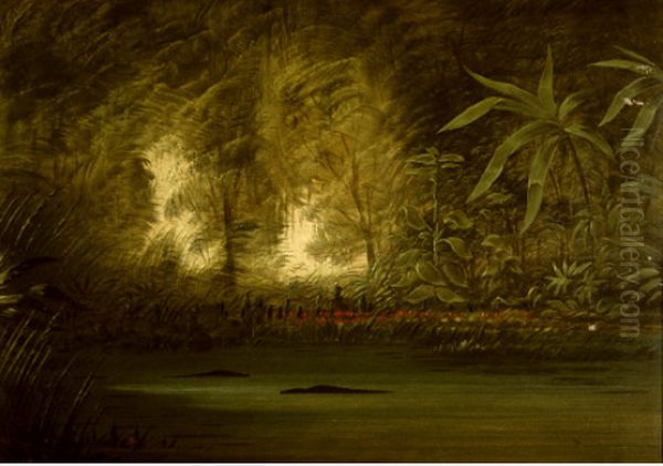 A Lagoon of the Upper Amazon Oil Painting by George Catlin
