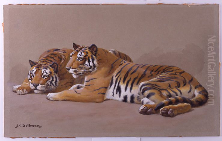 Tiger Studies Oil Painting by John Charles Dollman