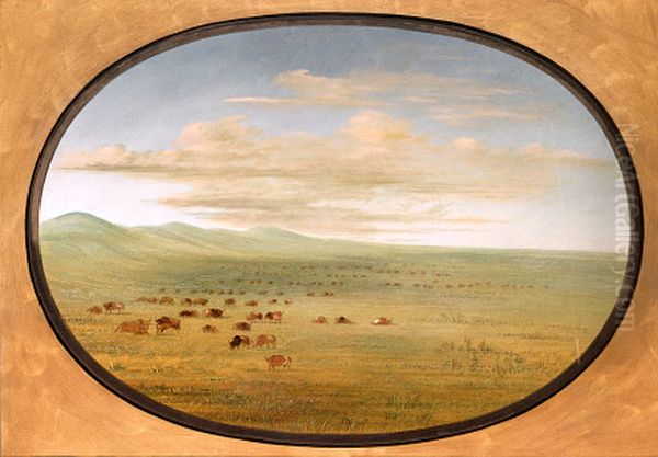 Wild Cattle Grazing on the Pampa del Sacramento Oil Painting by George Catlin