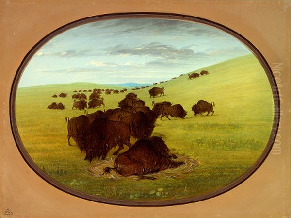 A Buffalo Wallow Oil Painting by George Catlin
