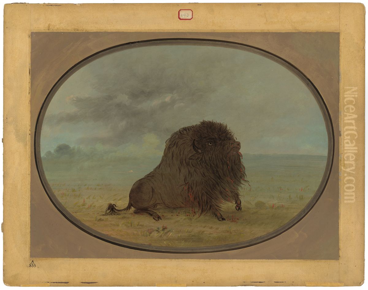 Dying Buffalo Bull Oil Painting by George Catlin