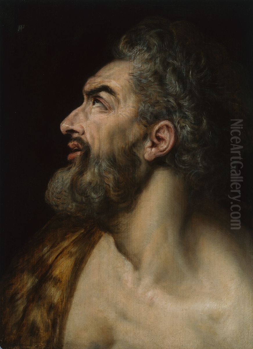 Study Head of a Bearded Man Oil Painting by Frans Floris I