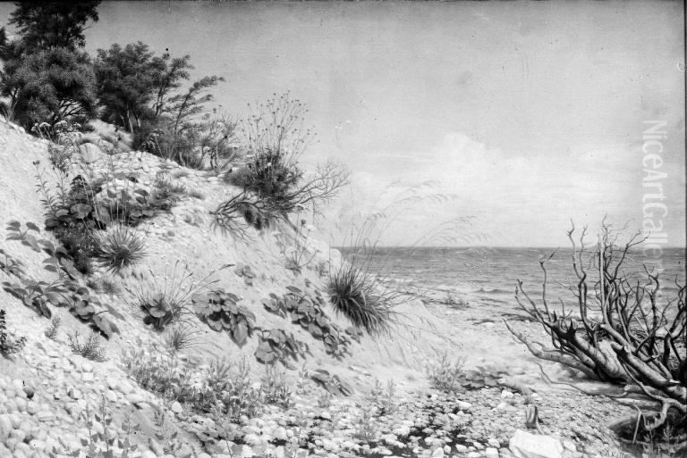 Parti ved Moens strand Oil Painting by C. A. Kolle