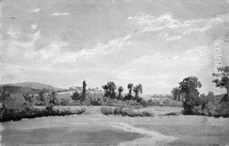 Open Landscape with Low Hills. Summer Oil Painting by Valentin Ruths