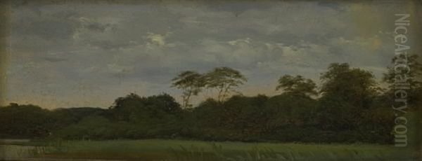 En eng ved en skovso Oil Painting by Carlo Dalgas