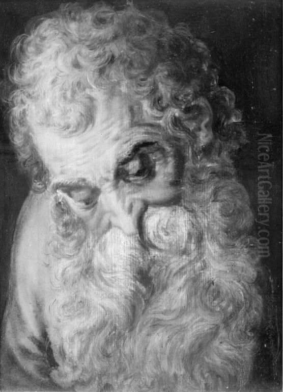 An Old Man's Head Oil Painting by Frans Floris I