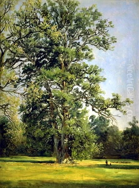 An Oak. View of the Garden at Worlitz near Dessau Oil Painting by Johan Wilhelm Ludwig Dahl