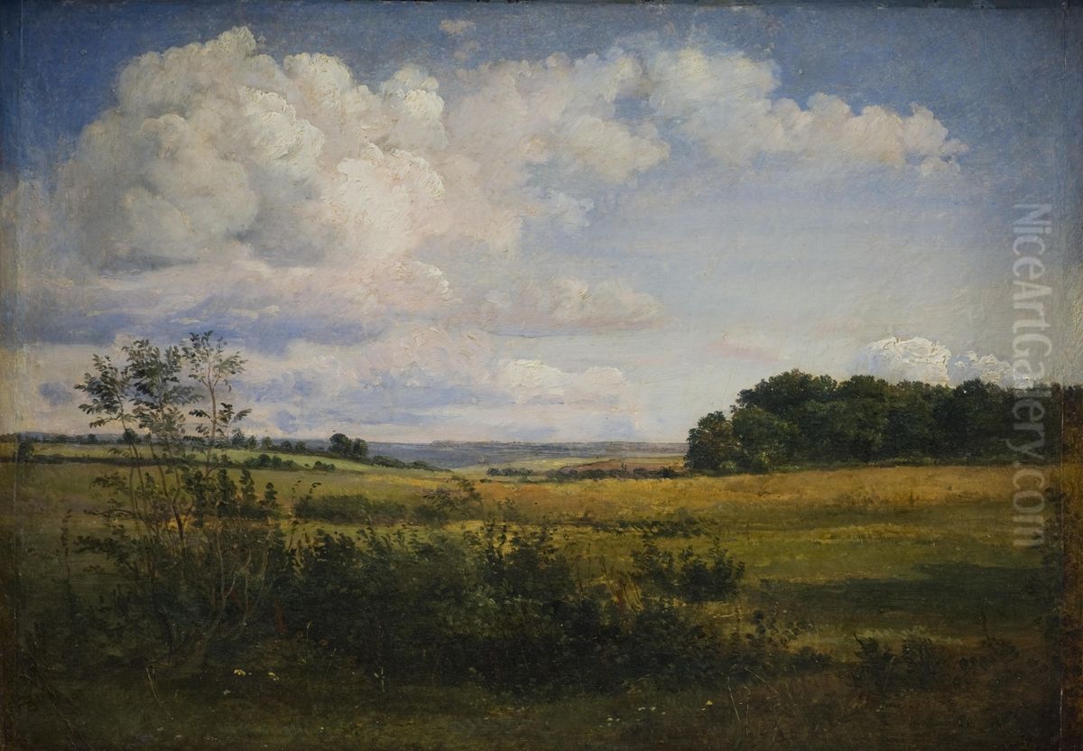 Landscape with Sunlit Clouds Oil Painting by Dankvart Dreyer