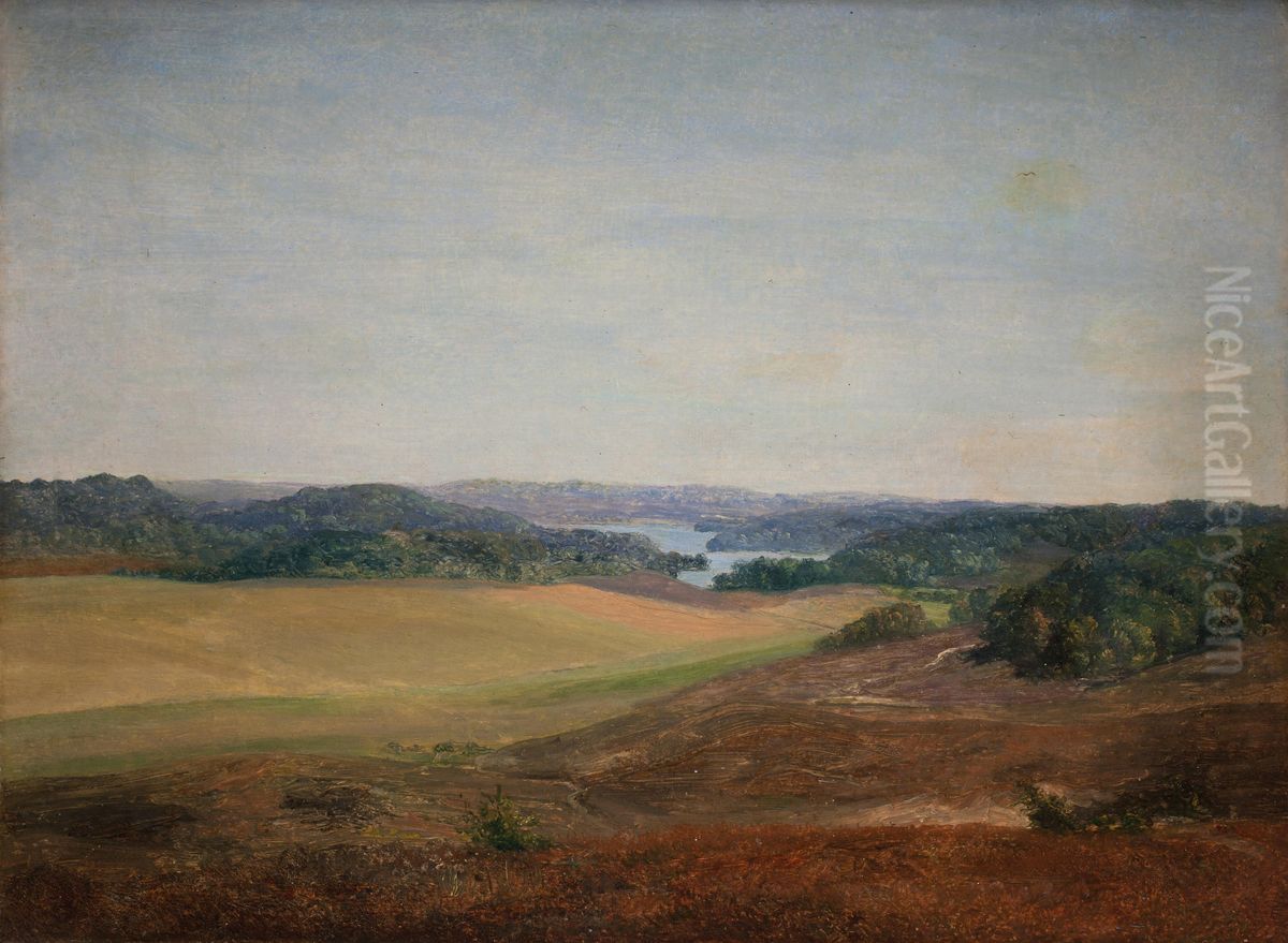 Landscape near Silkeborg, Jutland Oil Painting by Dankvart Dreyer